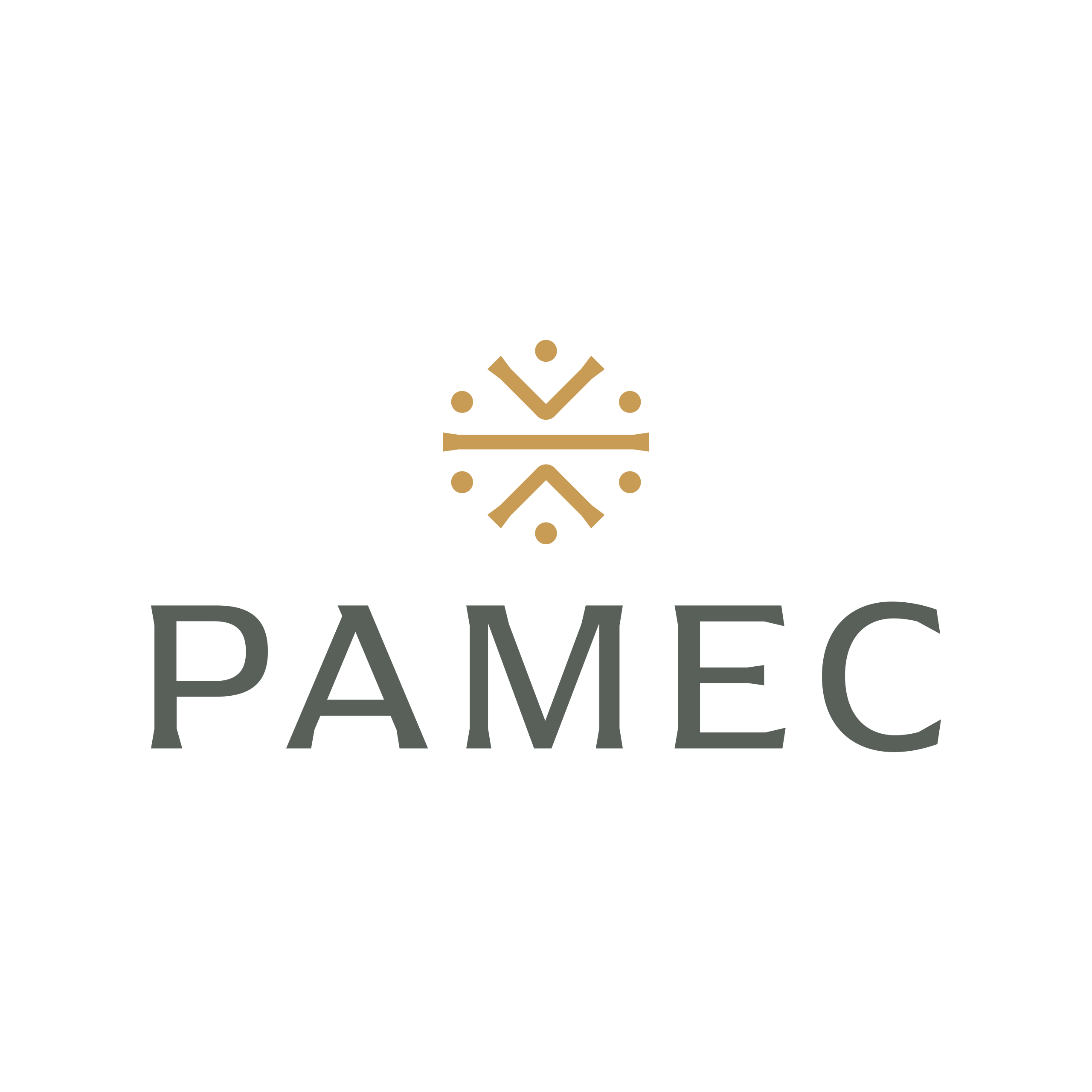 Pamec Winery logo featuring elegant lettering and a natural wine theme, symbolizing quality and the essence of Temecula's unique terroir.